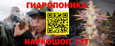 jwh Ливны