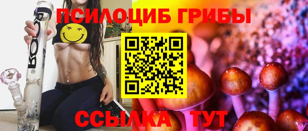 Псилоцибиновые грибы прущие грибы  Псилоцибиновые грибы прущие грибы  Вход с VPN  Десногорск 